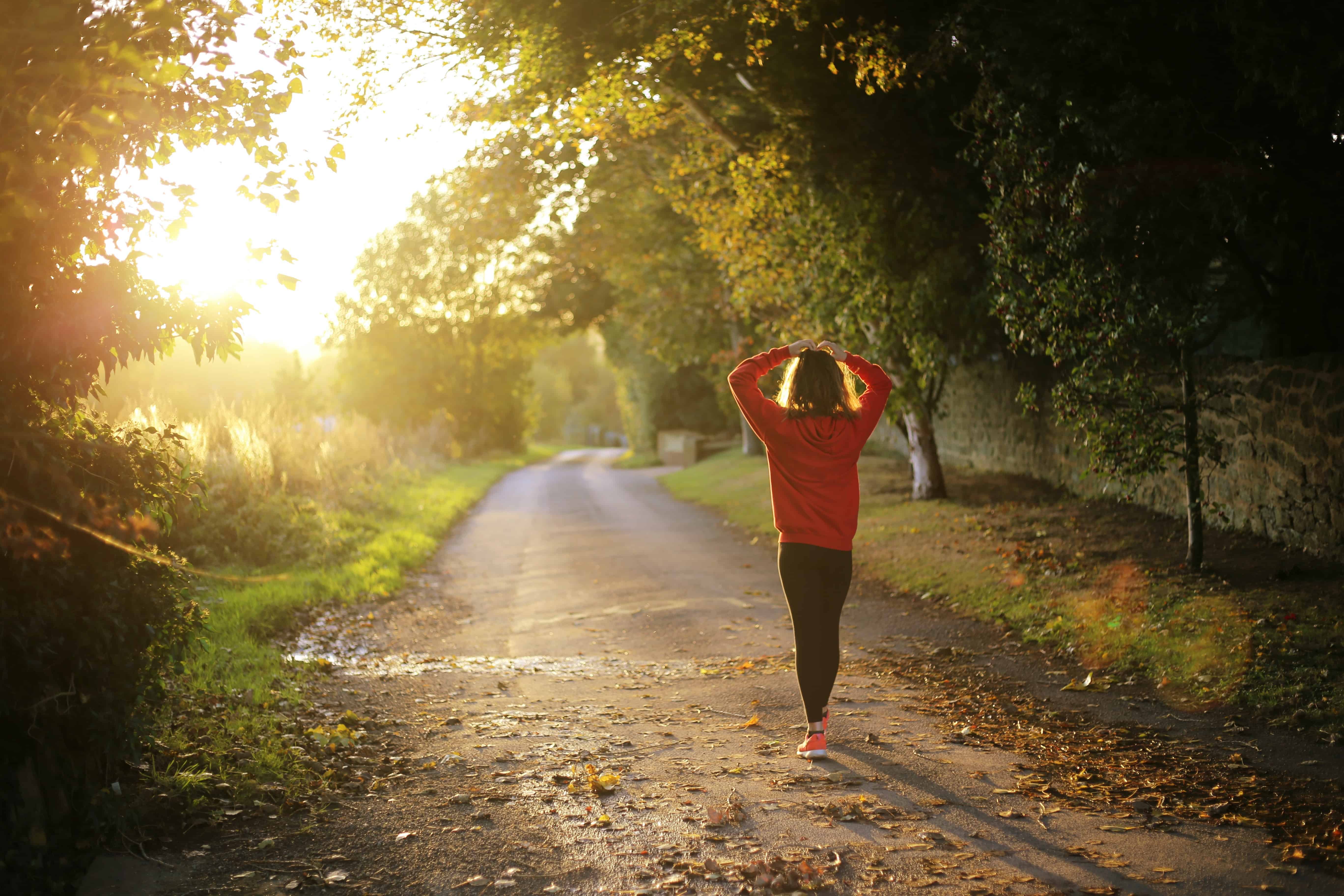 woman walking with her back to the camera down a sunlit path through the woods